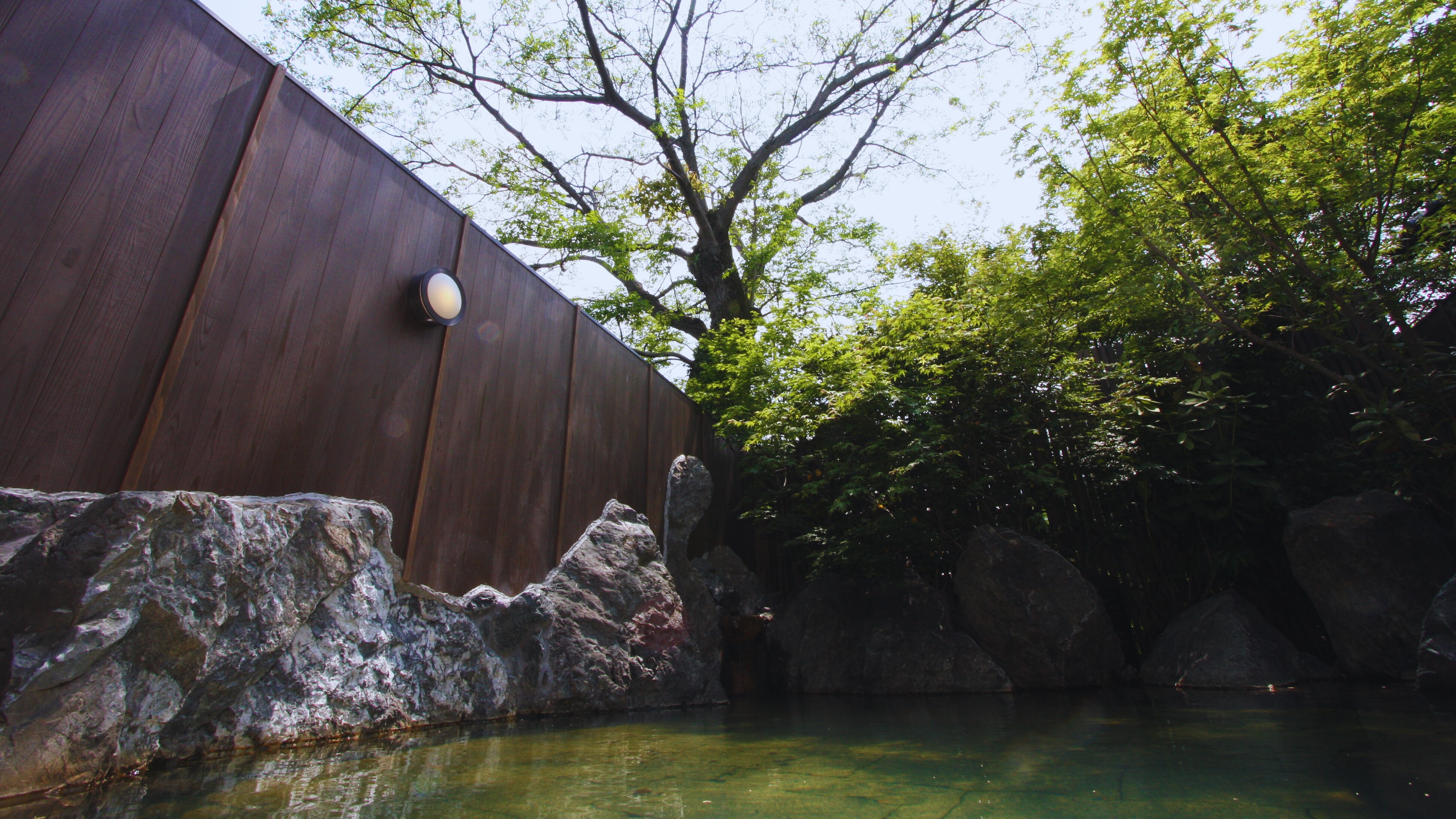 新緑がまぶしい露天風呂