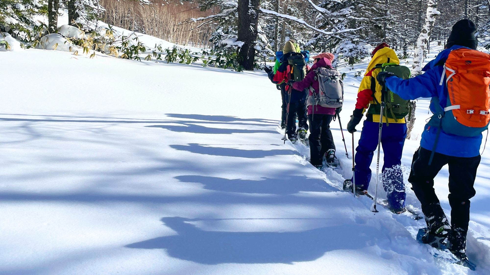 【03/21限定！冬のピクニック付きプラン】雪に包まれた森で、静かな時間を味わうスノーシュー体験