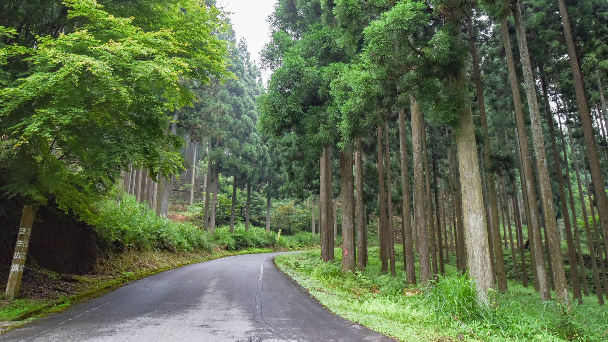 *【屋外施設】東山名水・遊歩道