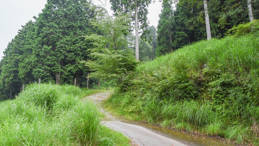 *【屋外施設】東山名水（遊歩道）