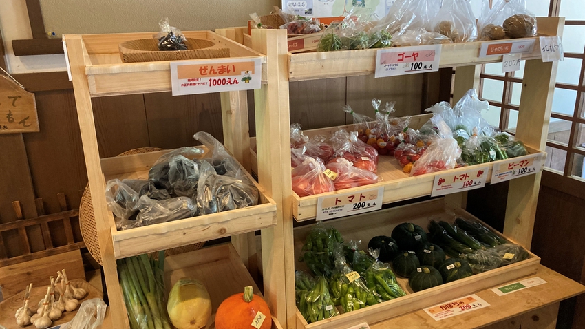 【2食付】旅館を丸ごと貸切！自然と地元の恵みを満喫〜白山で過ごす癒しの日〜