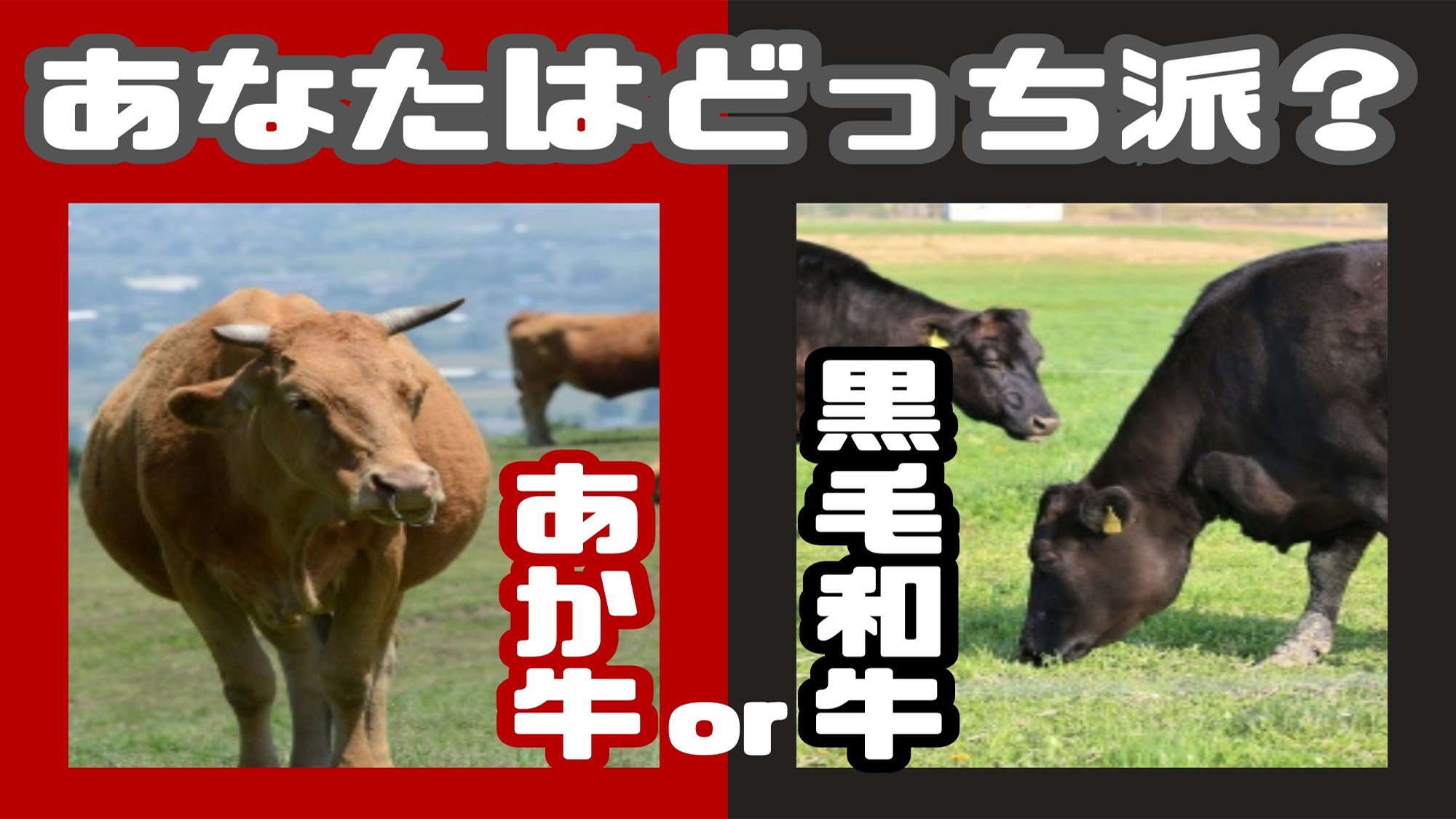 【グレードアップBBQ】あなたはどっち派？選べる赤牛＆黒毛和牛♪いつものBBQを更に華やかに豪華に!