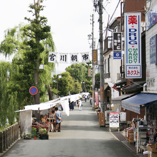 【周辺】朝のお散歩がてら、是非のぞいてみてくださいね。