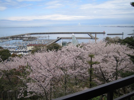 From the tatami room