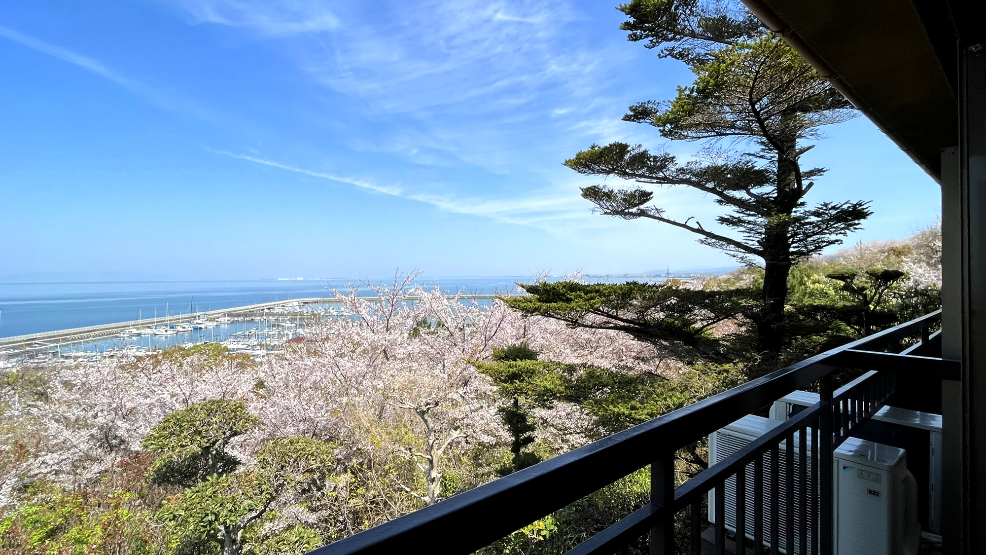 4月はお部屋から大阪湾と桜が一望出来ます＾＾