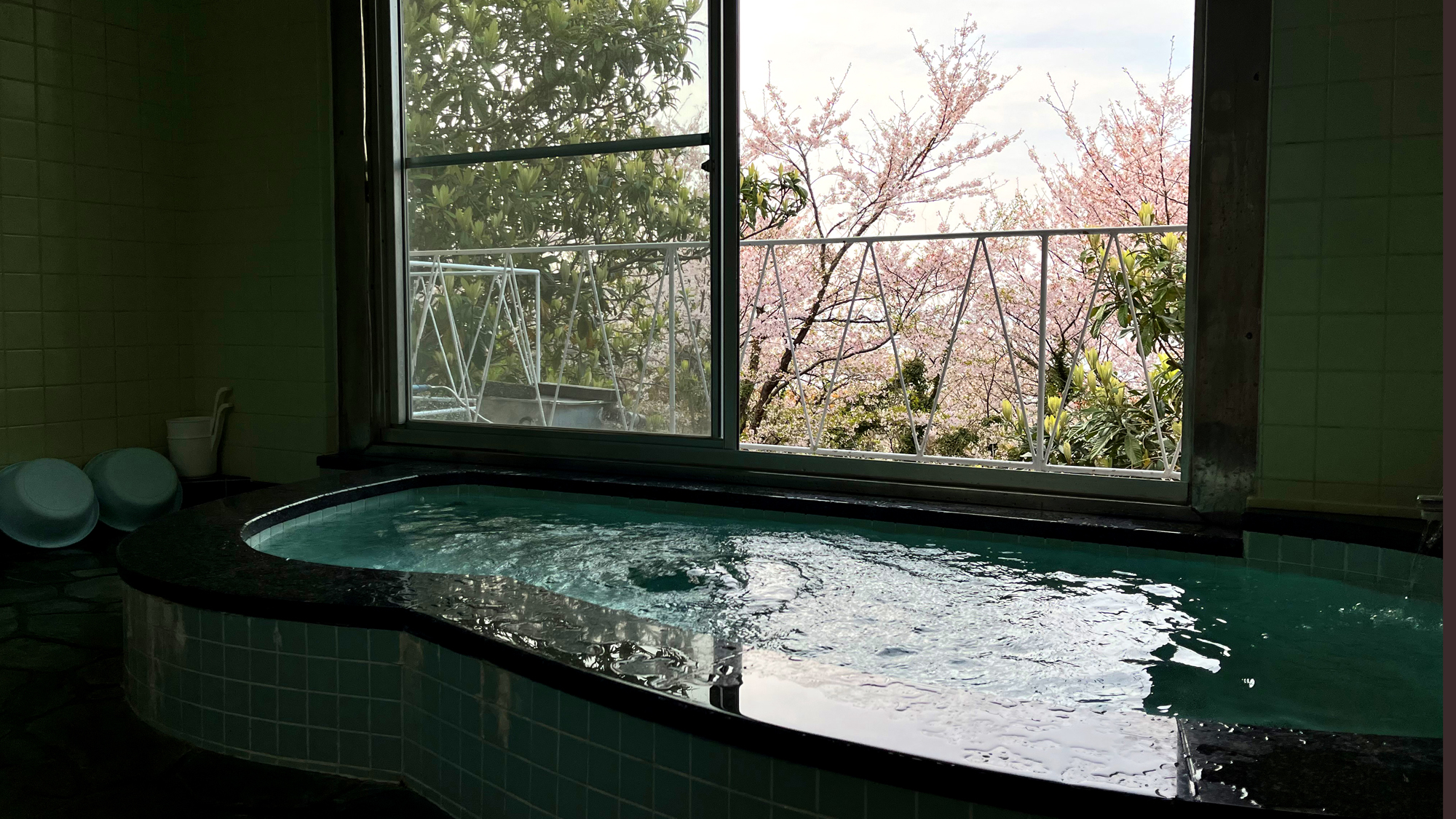 桜の季節のお風呂は、眺望抜群です♪