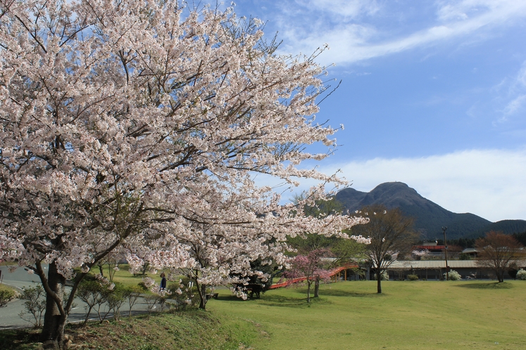 施設風景