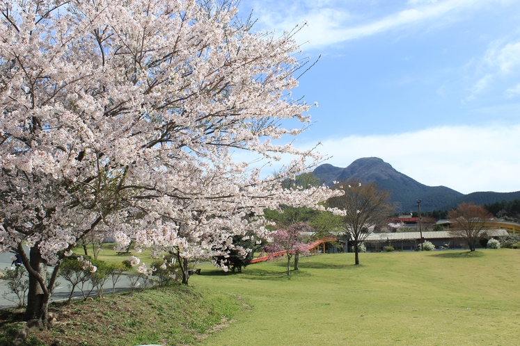 施設風景