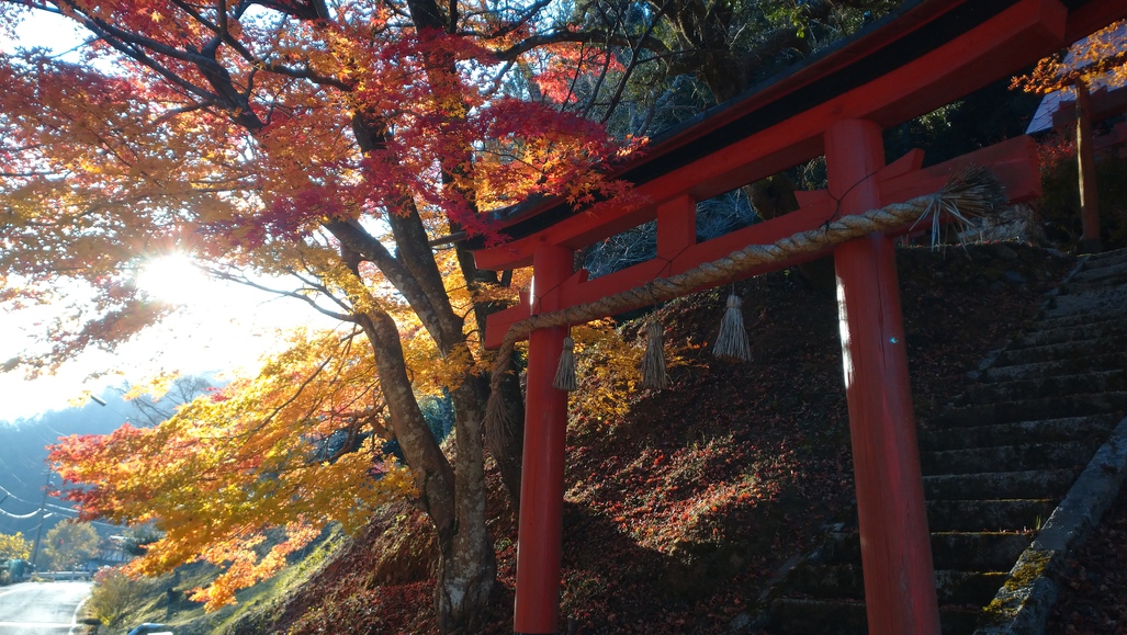 お泊り（朝食付き）