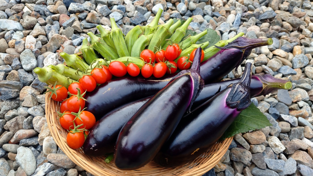 お泊り（夕食付）