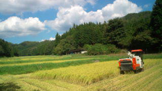 お泊り（朝食付き）