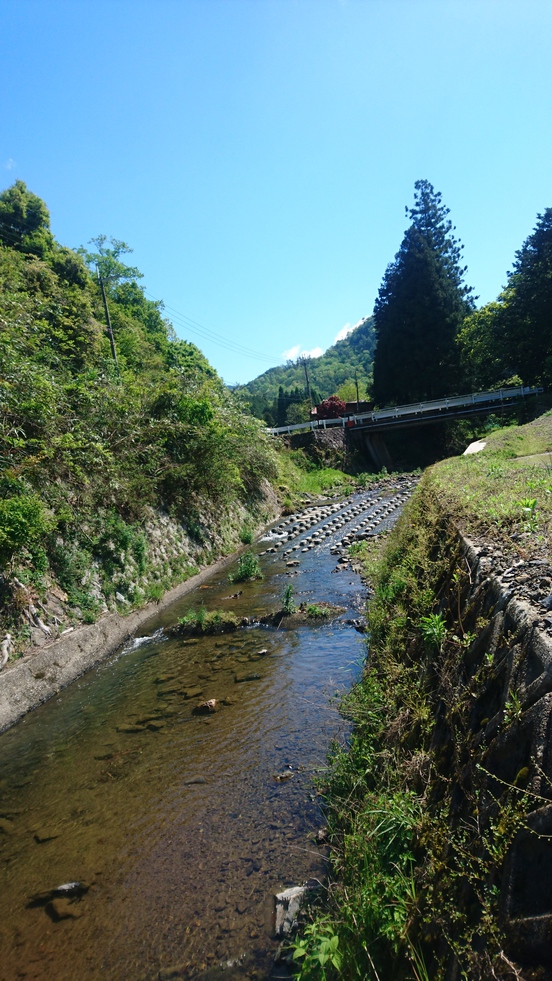 お泊り（夕・朝食付き）