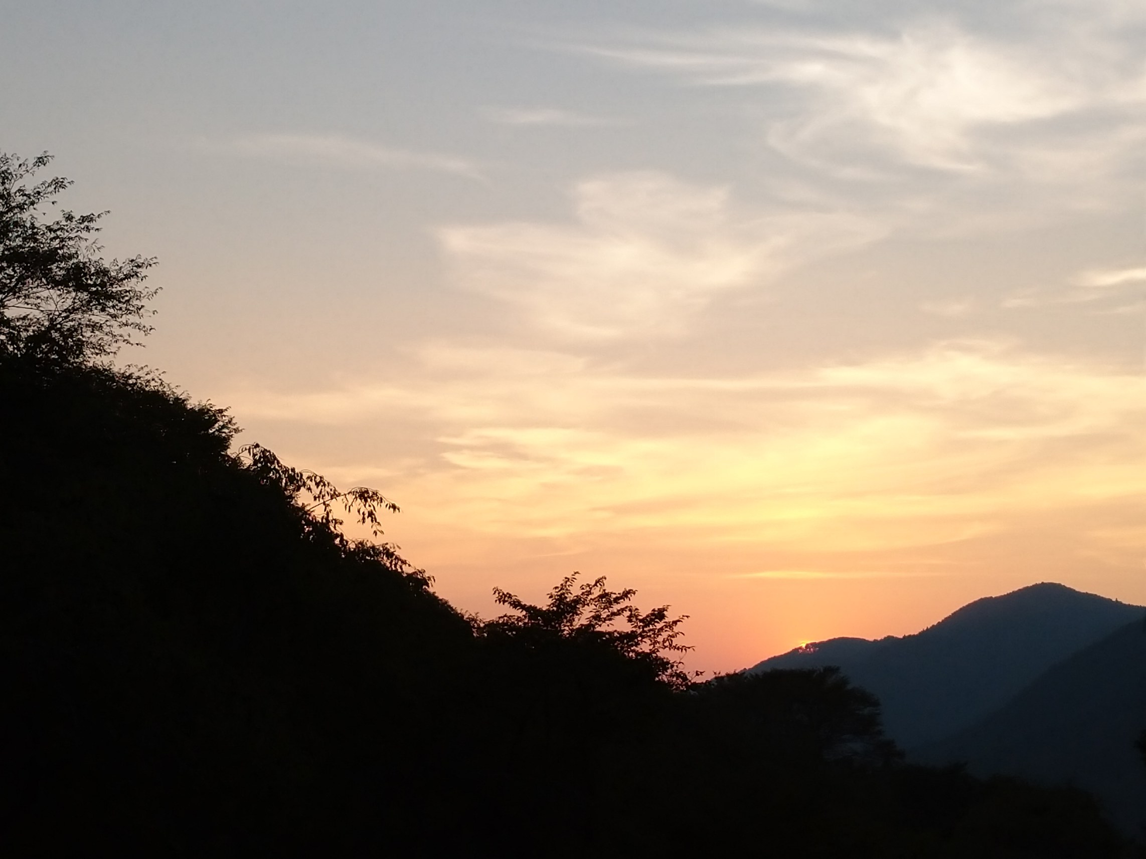 お泊り（夕・朝食付き）