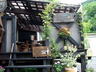 モッコウバラのアーチができました