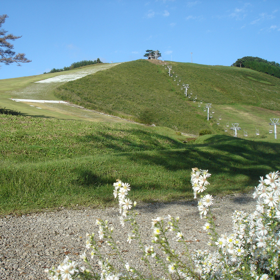 秋の「アップ神鍋 上の平 北の壁コース」