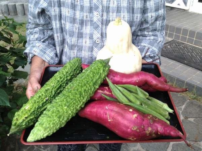 畑で作った自家製野菜