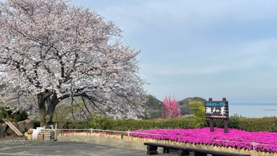 桜とピンクパンサーが春らしい景色