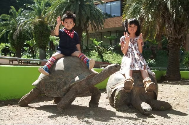 【iZoo入場券付】温泉×地元食材の会席料理×動物に癒される旅でリフレッシュ！