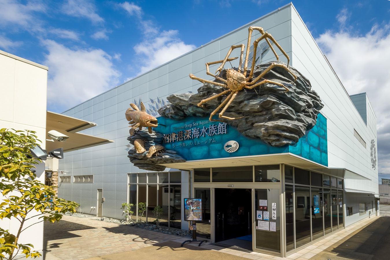 【人気観光施設の入場チケット付き】伊豆旅の思い出作りを！2つの施設より選べるファミリープラン