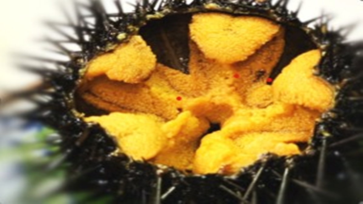 7月〜9月特別限定プラン【夏彩（なついろ）御膳】/2食付