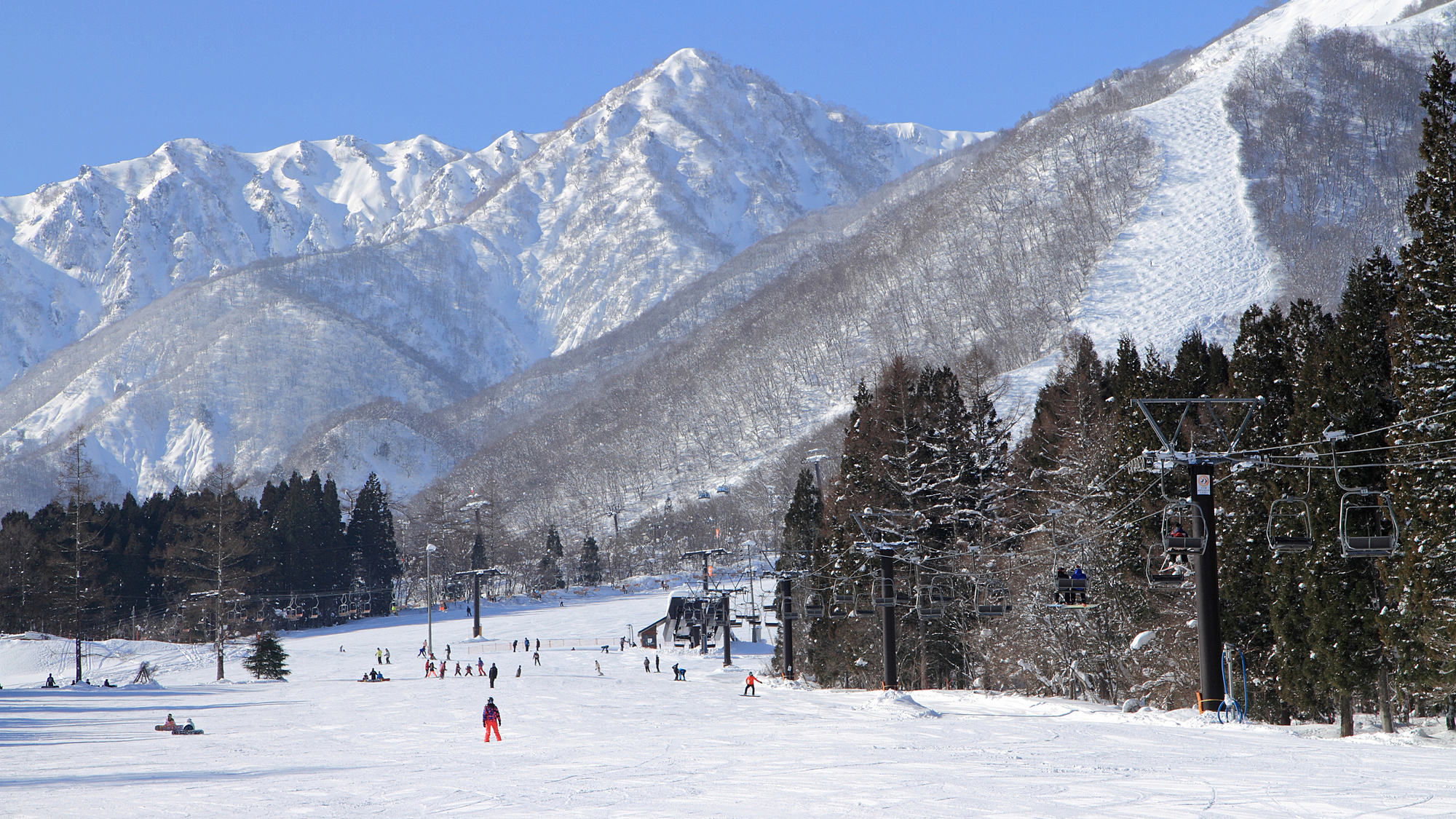 エイブル白馬五竜スキー場　ゲレンデまで600m（徒歩6分）無料シャトルバス有