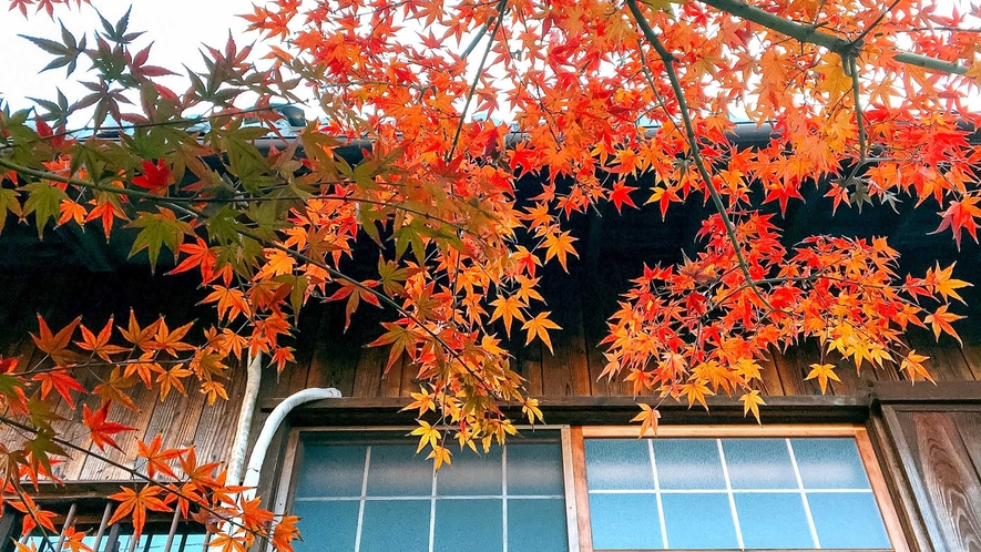 ・【周辺】秋にはきれいな紅葉に彩られます