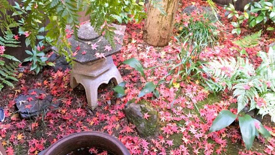 ・【坪庭】小さな坪庭で季節の移り変わりを感じられます