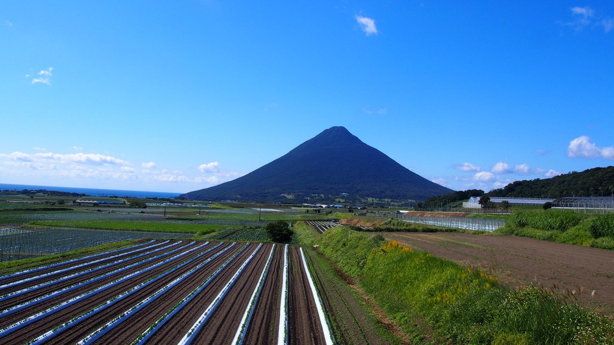 【ECO★素泊り】歯ブラシ無し！浴衣無し！アメニティはございません！でもその分お得にご宿泊！