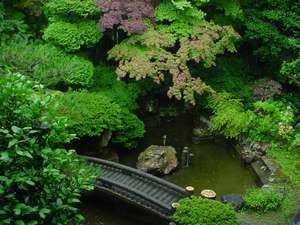 落ち着いた日本庭園