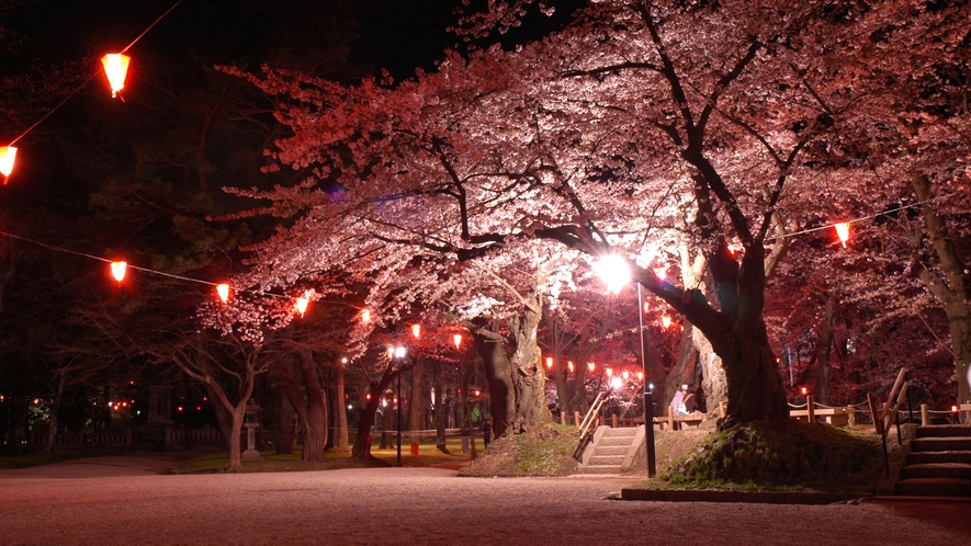 *【周辺】千秋公園／例年4月中～下旬には桜まつりが開催され、夜間はライトアップも。