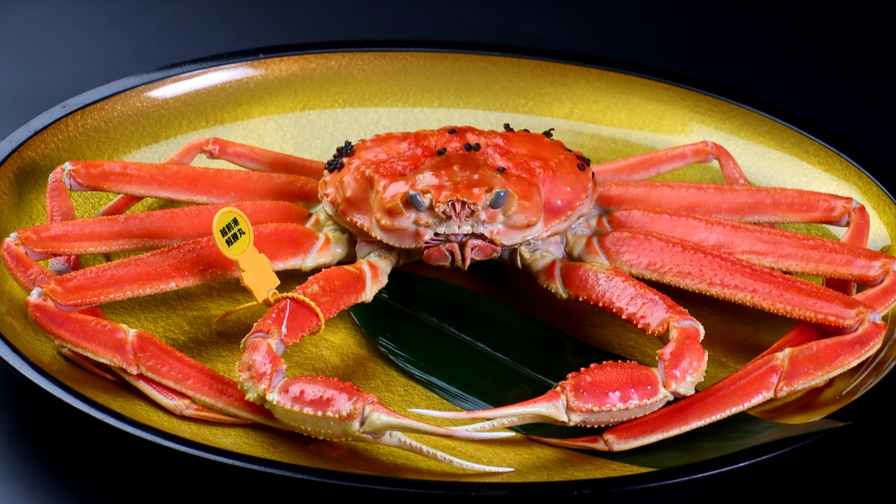 【越前ガニを食べ尽くせ！】カニ尽くしフルコース[1泊2食付]