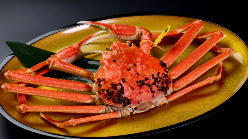 【越前ガニを堪能！】冬の味覚☆カニ会席コース[1泊2食付]