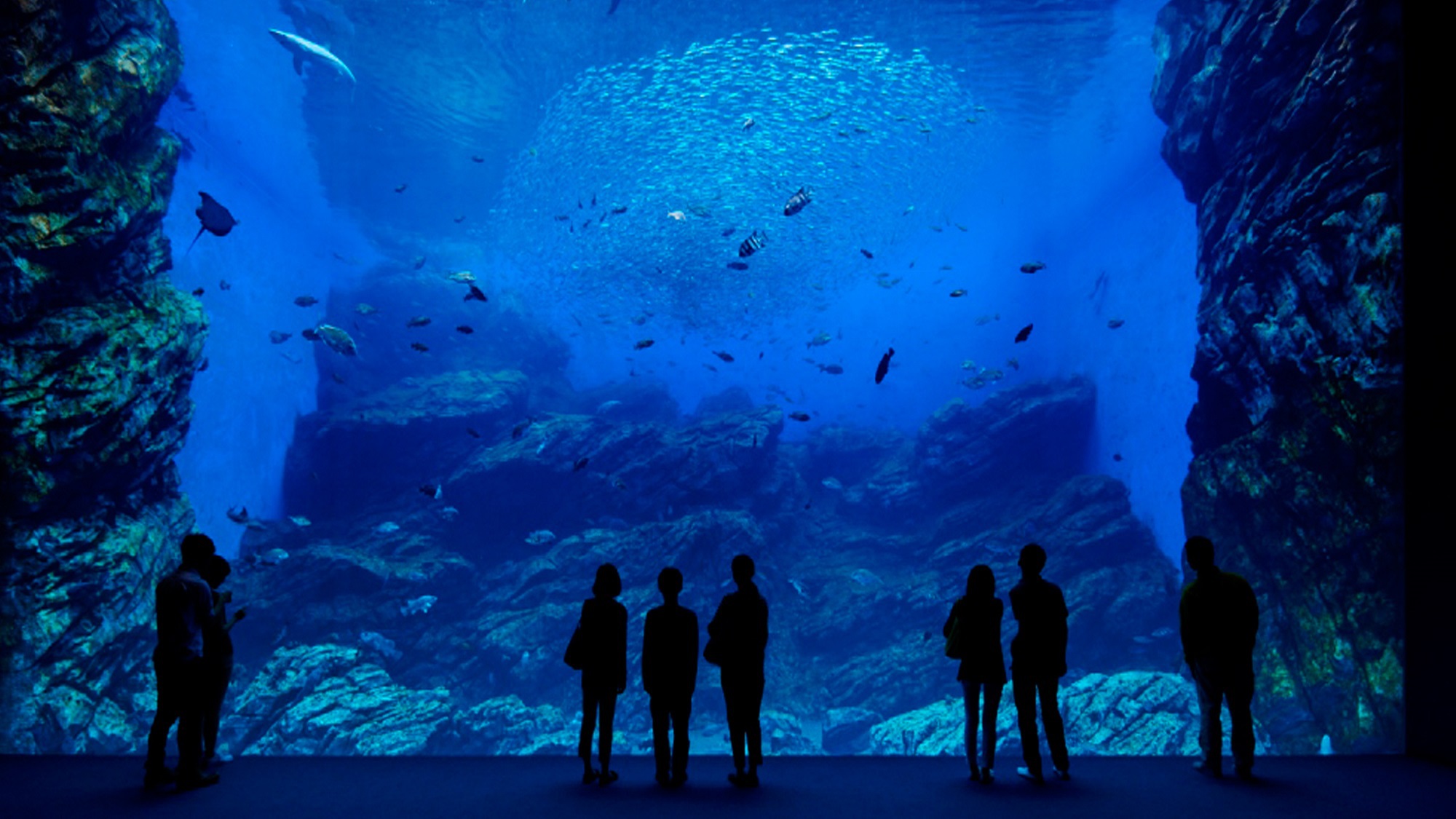 【仙台うみの杜水族館・ご利用引換券付】ファミリー・カップルにおススメ♪仙台で遊ぼう！（素泊り）