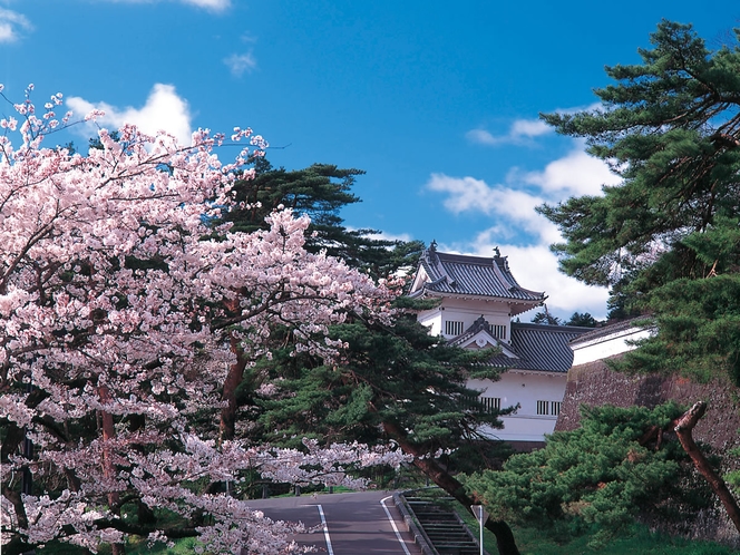 桜_青葉城址