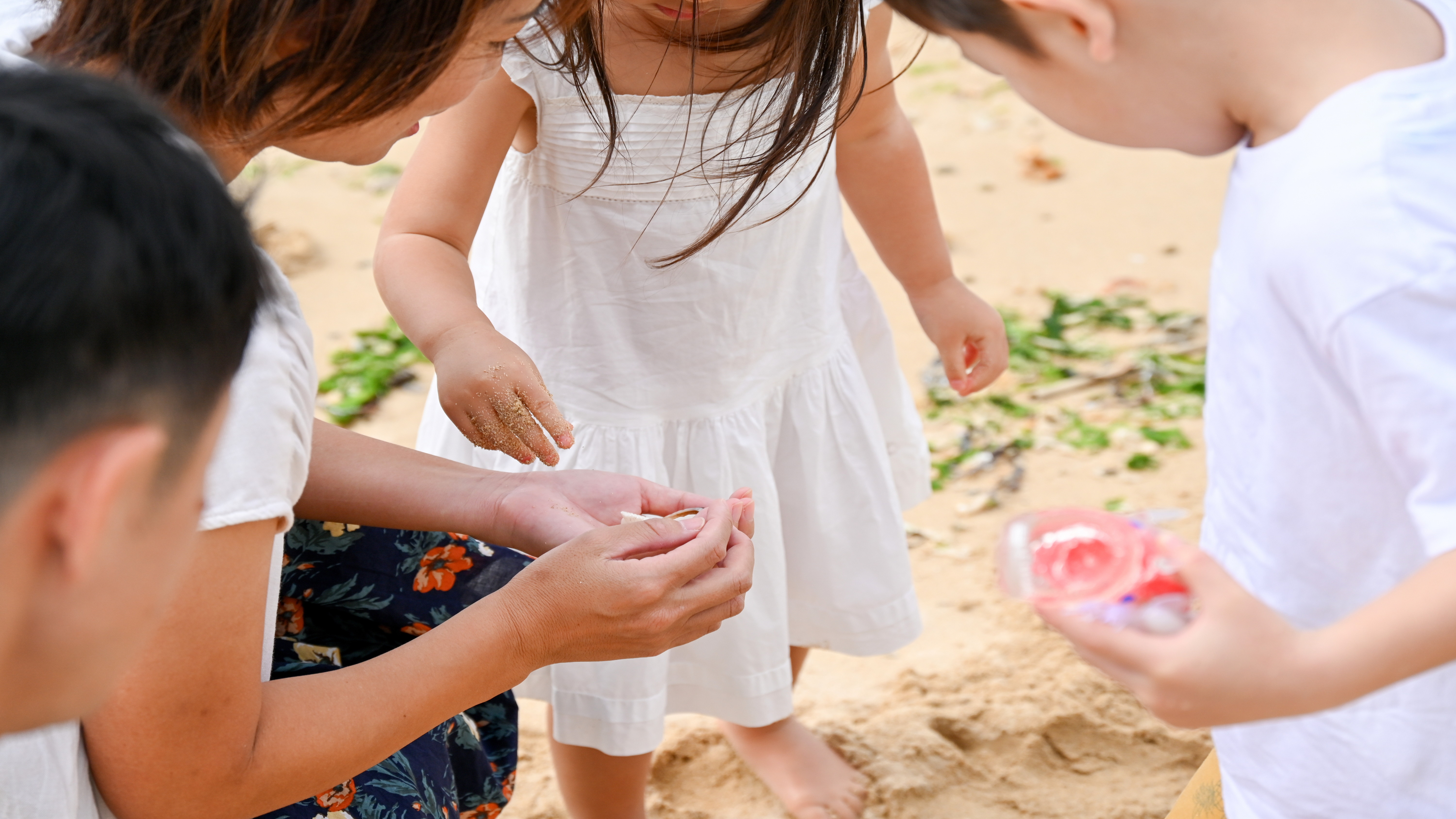 家族で過ごす夏休み