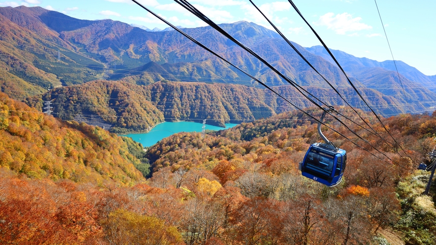 当館から約30分　紅葉シーズンにおすすめ「苗場ドラゴンドラ」