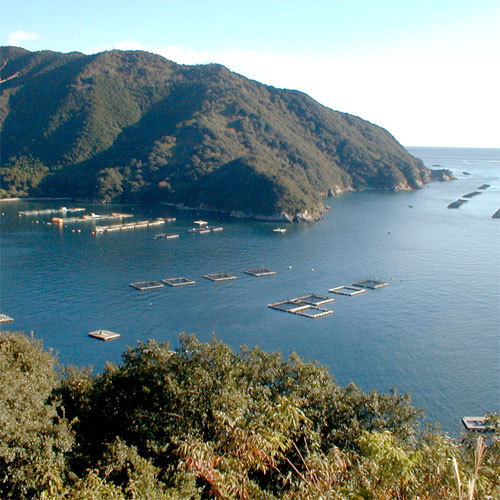 Furuwaura Bay
