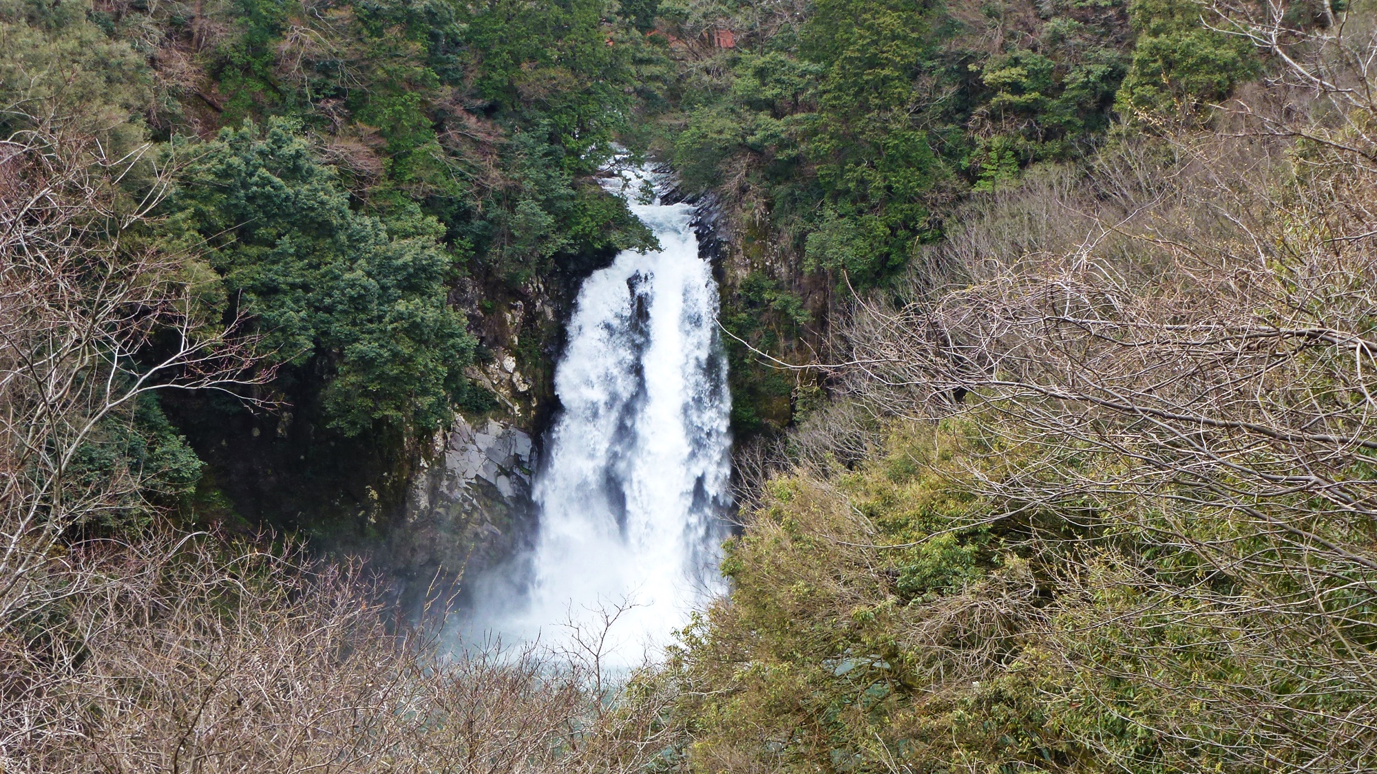 *【施設周辺】八反の滝でございます。春夏秋冬色んな表情を見せる滝です。