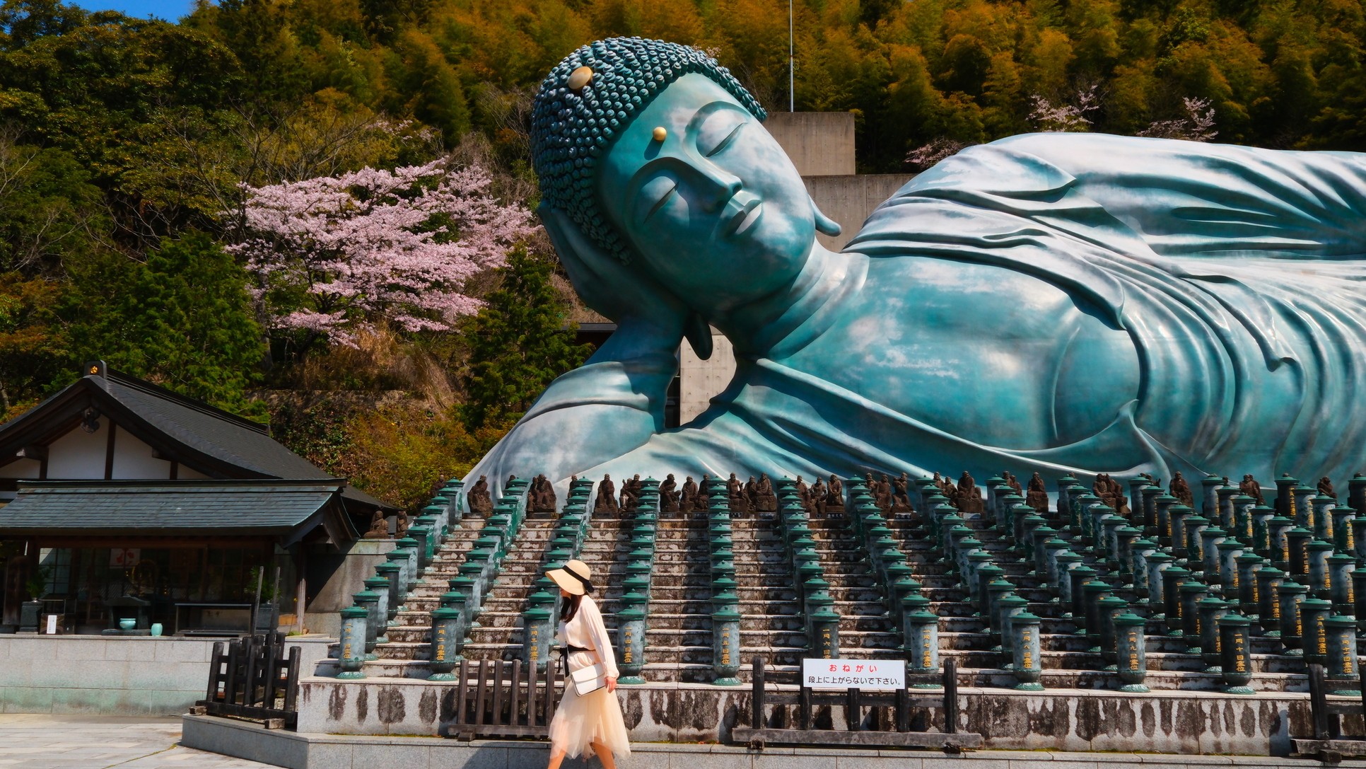 南蔵院　ホテルより車で約12分