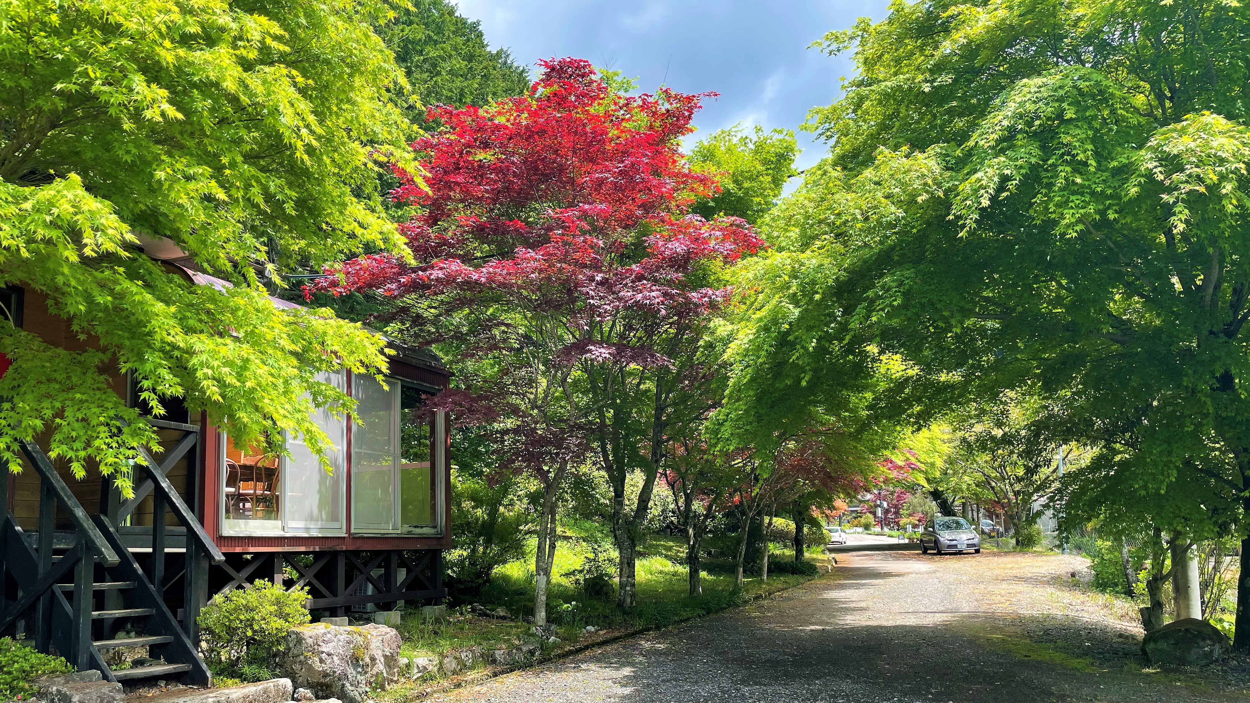 初夏のストロープンハウス