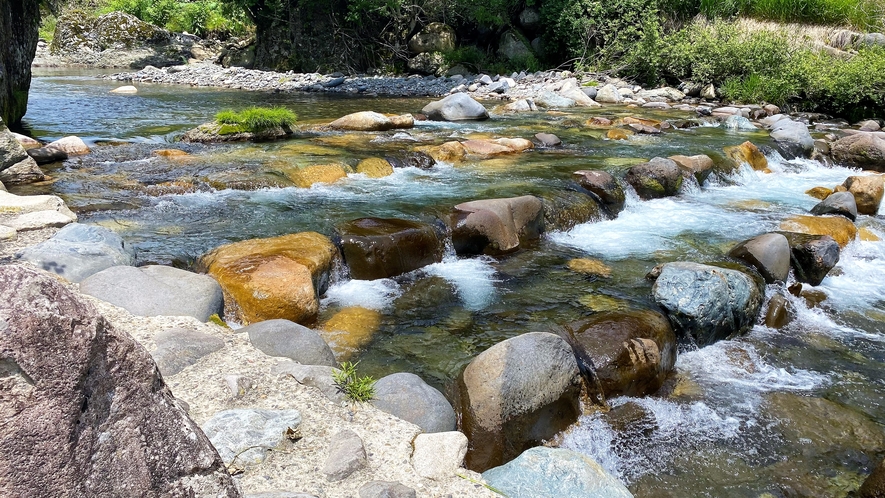 すぐそばを流れる吉田川