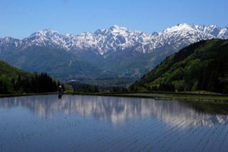 青鬼からの白馬三山