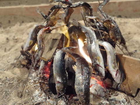 Grilled sweetfish in the hearth