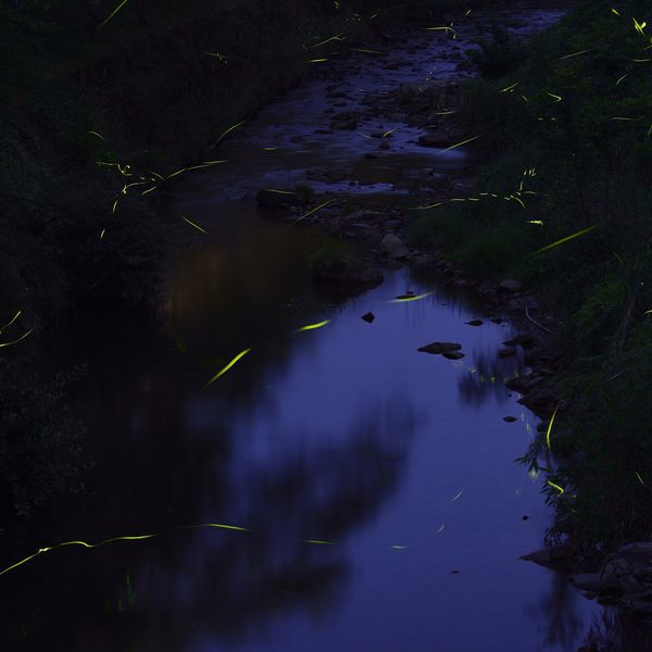 【ホタルが舞う6・7月限定】ご宿泊特典として国産線香花火をプレゼント！（1泊朝食食材付き）