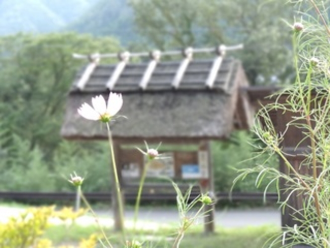 秋の風景