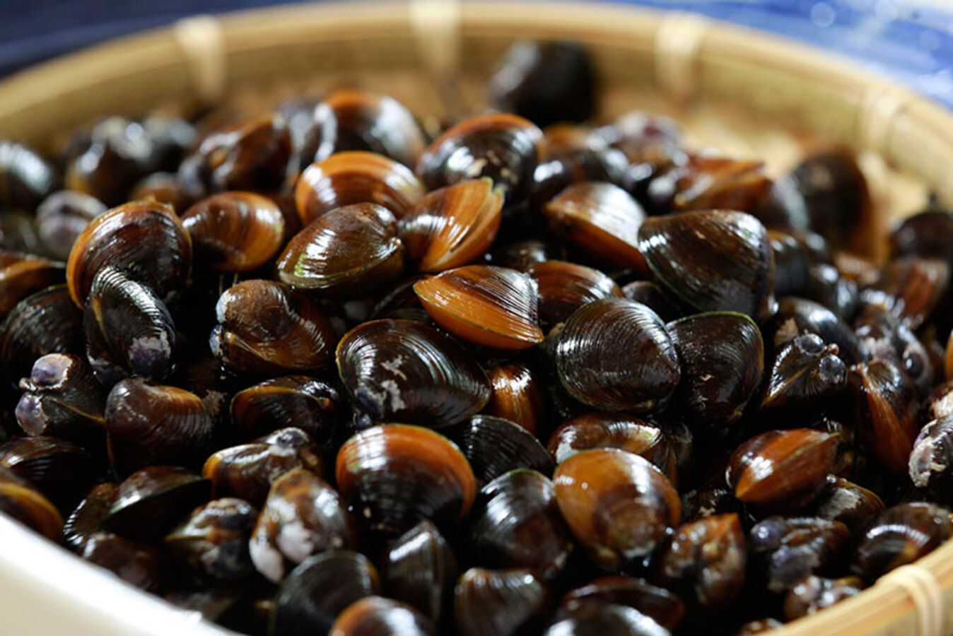 【1泊朝食】かけ流し温泉で癒される湯宿ステイ｜草菴のこだわり和朝食で始まる贅沢な一日