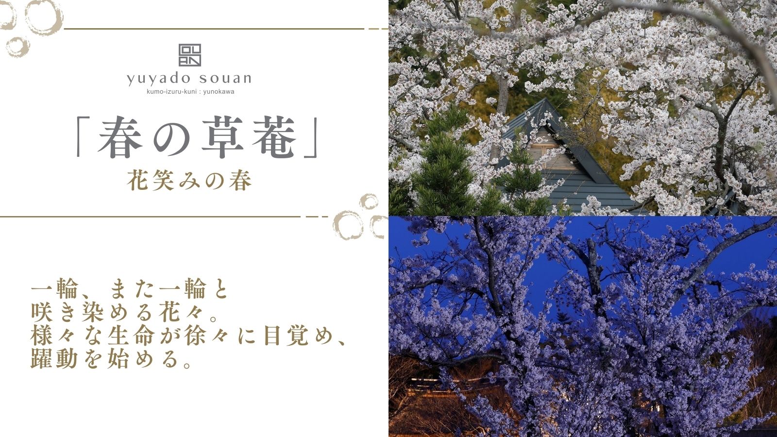 「春の草菴」花笑みの春