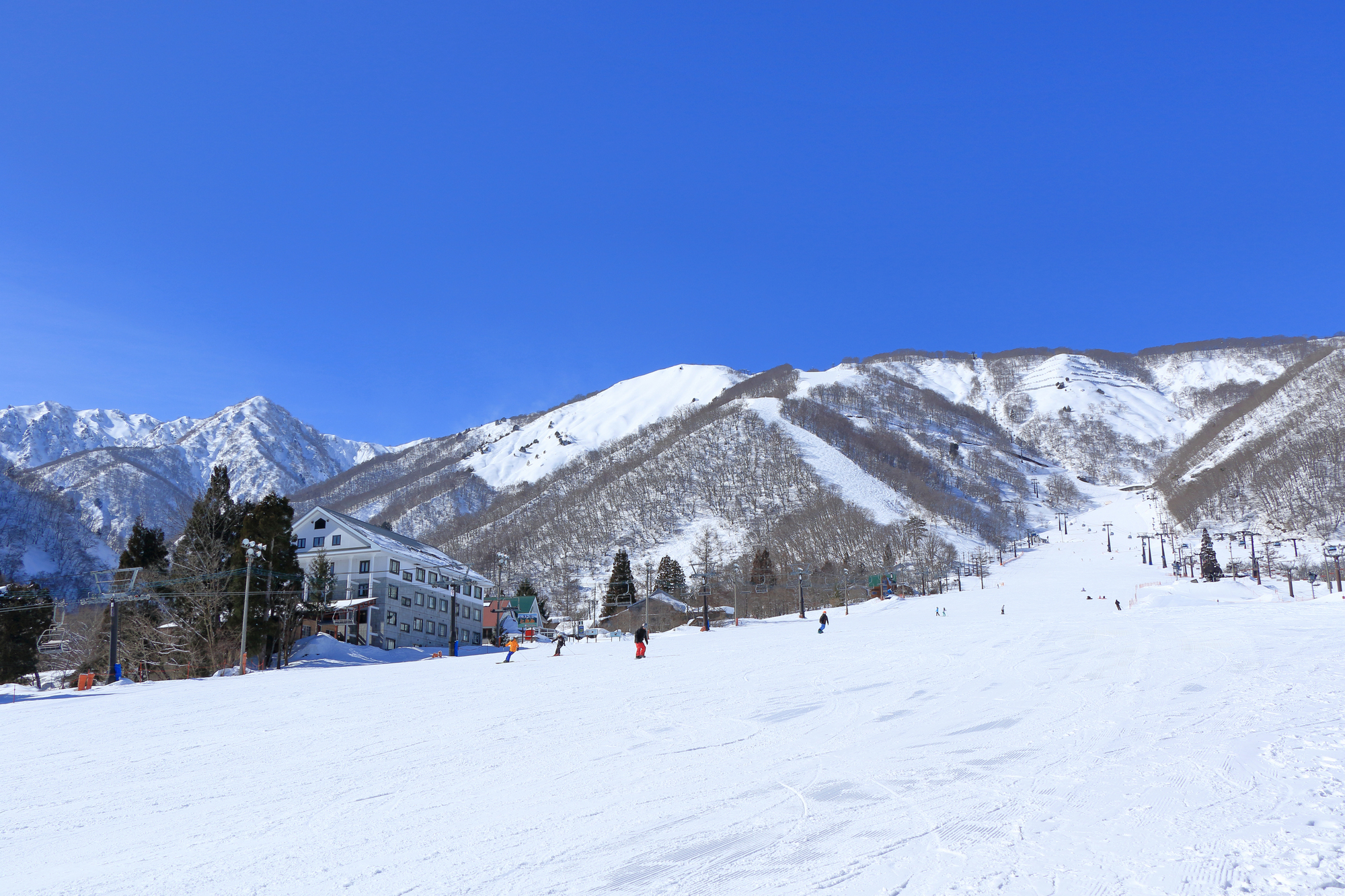 白馬五竜エイブルスキー場