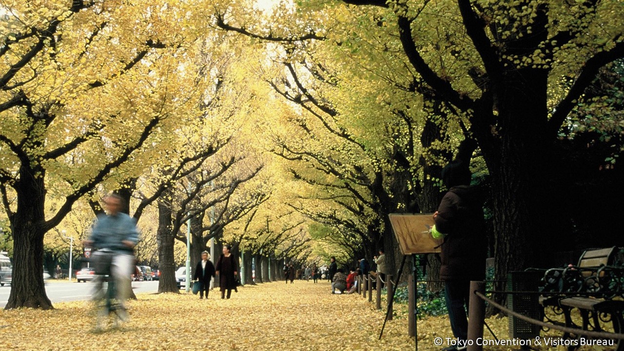 ■代々木公園