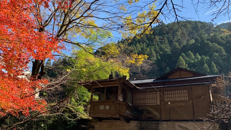 *【庭園】お茶室と紅葉